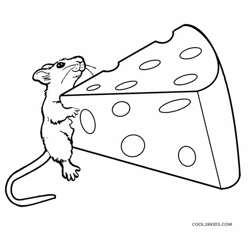 850x800 Mouse Coloring Page Amazing Mouse Coloring Pages 77 For Free