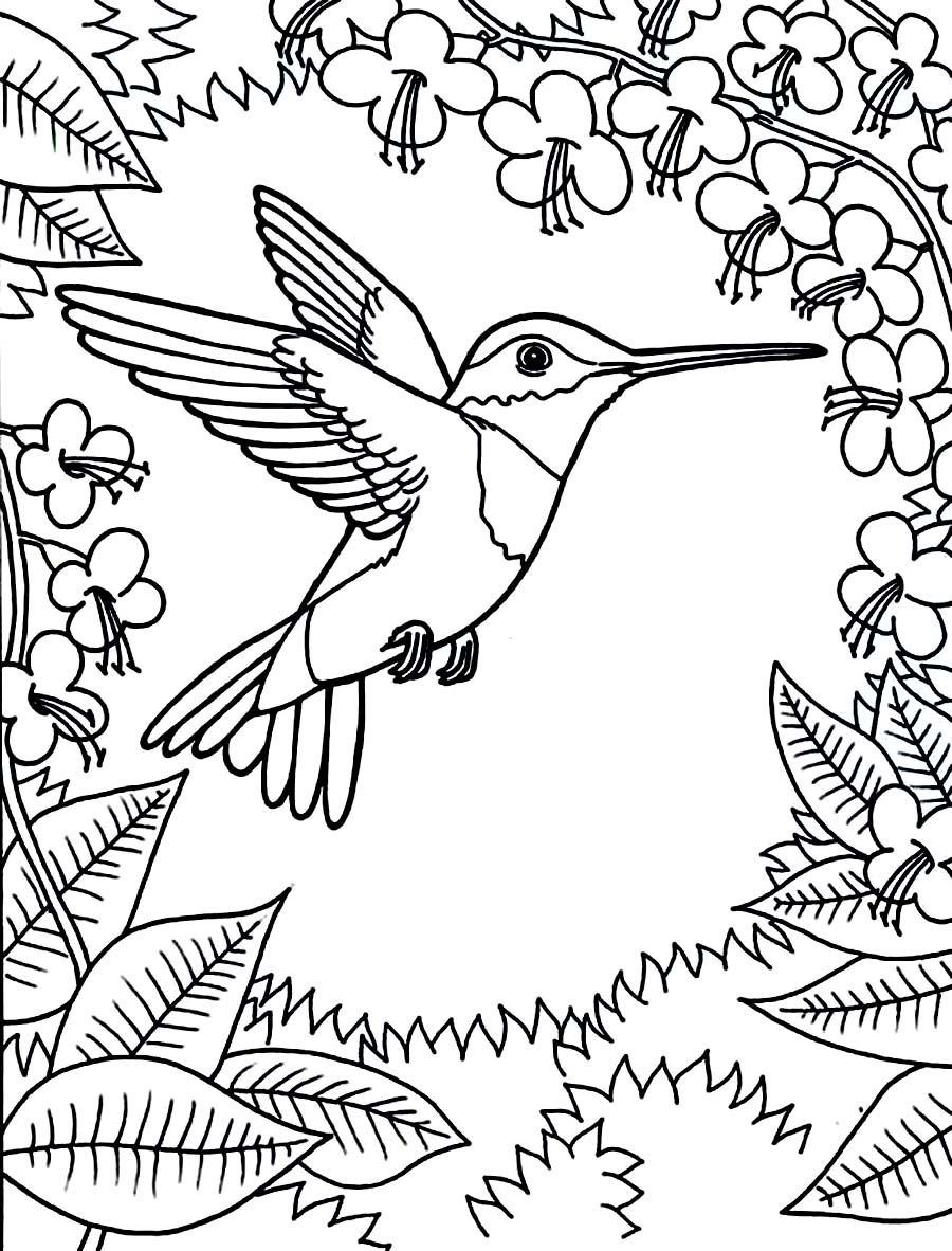 900x1182 Quick Flag Of Honduras Coloring Page Brazil My Compassion Sports