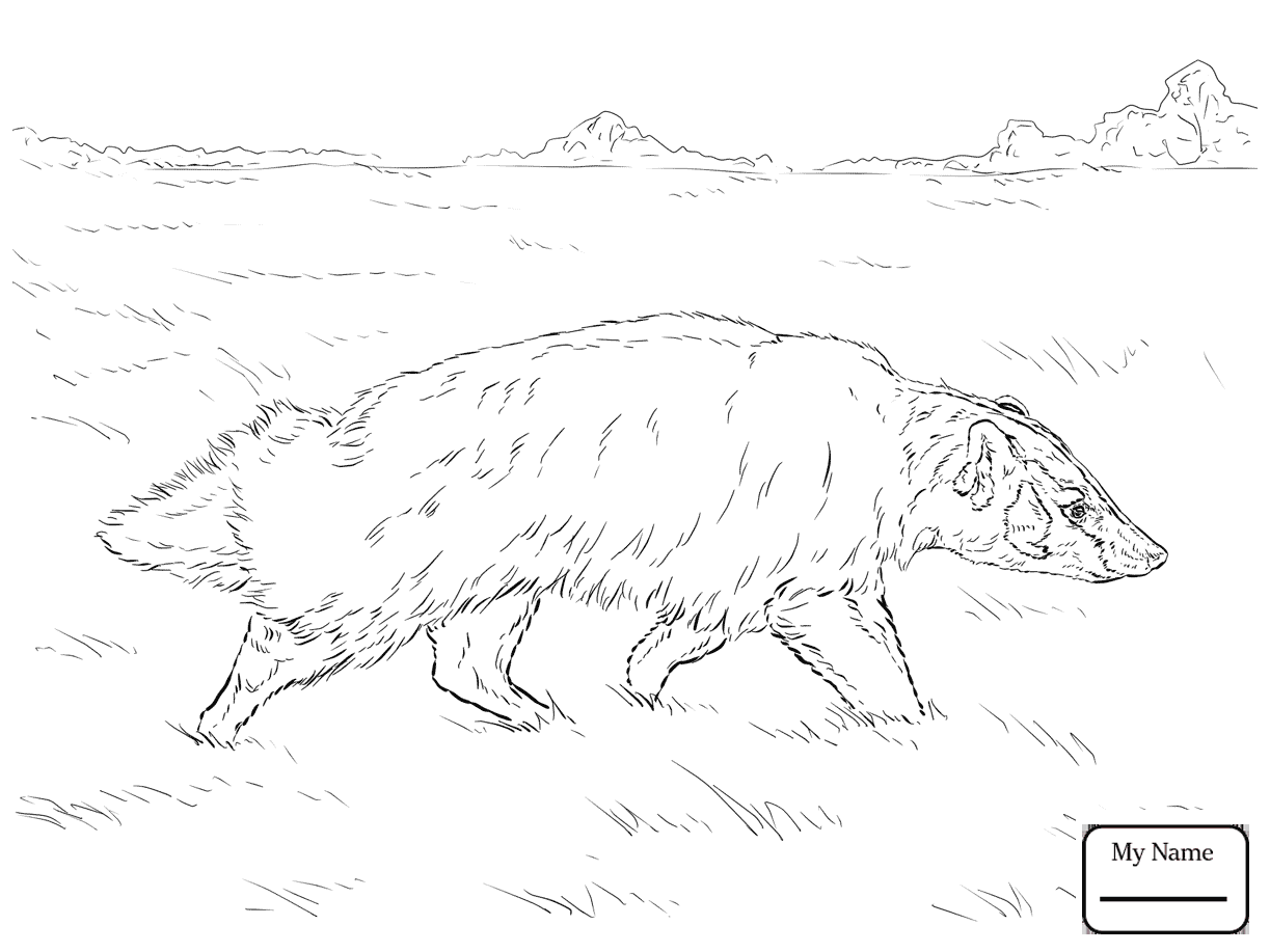 1223x917 Launching Honey Badger Coloring Page American