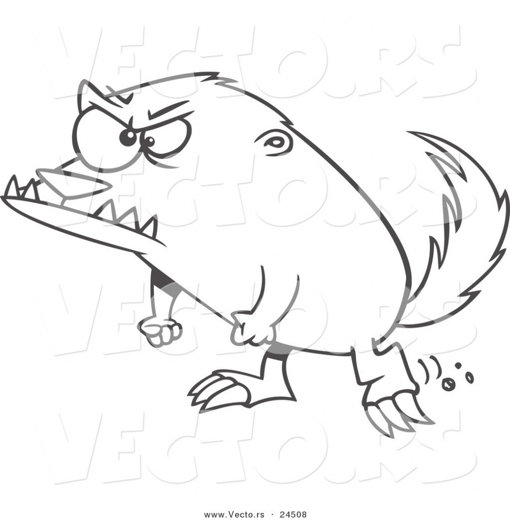 1004x1024 Proper Drawn Badger Angry Badger
