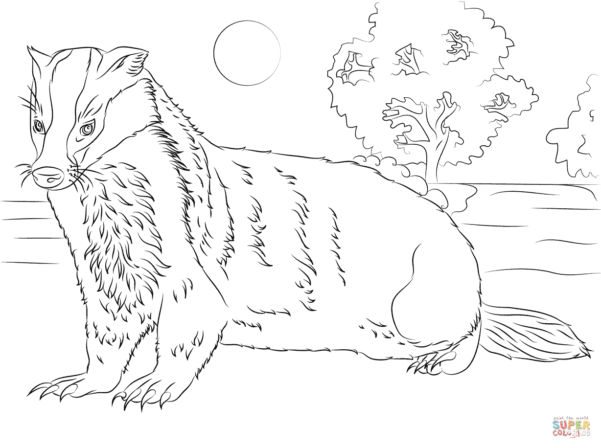 1228x916 The Truth About Honey Badger Coloring Page Fre