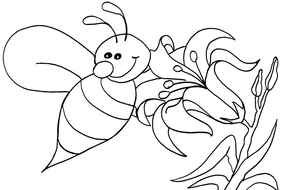 900x607 Bee To Color Honey Bee Pictures To Color Printable Bee Impressive