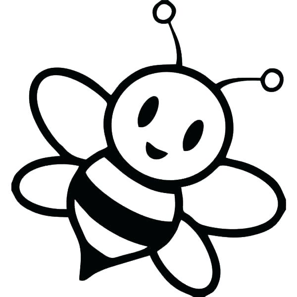 600x600 Honey Bee Coloring Pages Honey Bee Coloring Page Pages Sheets