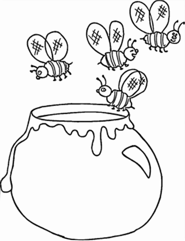 600x780 Honey Coloring Page Leversetdujourfo Honey Lemon Coloring Page