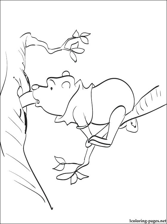 560x750 Winnie The Pooh Hunny Pot Coloring Page Wants To Eat Honey Pages 5