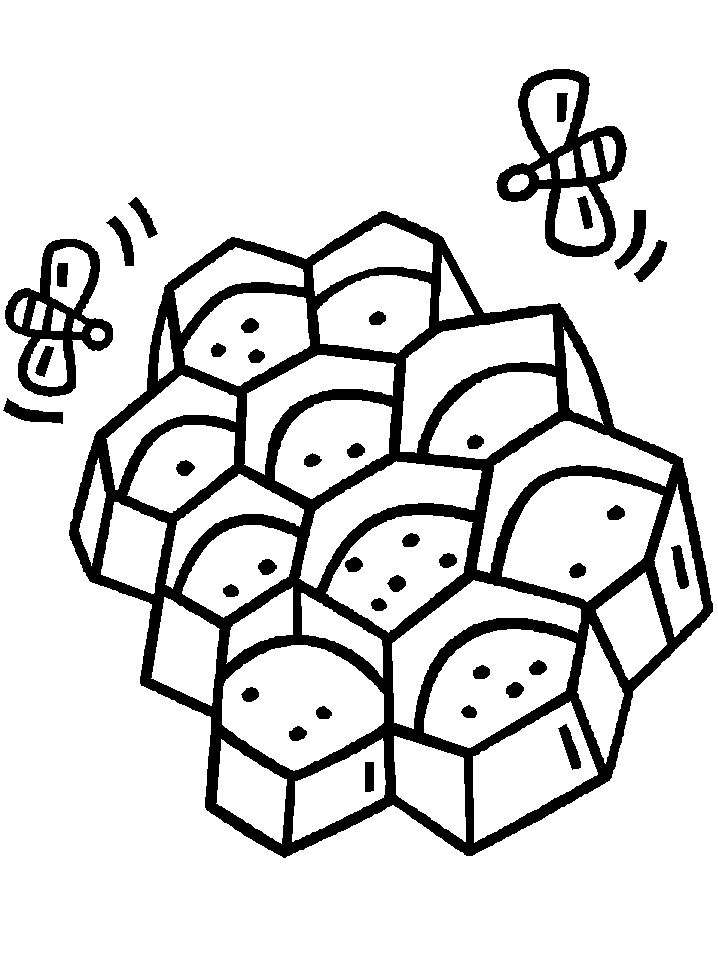 718x957 Honeycomb Coloring Book Page Bee Cuz Honeycombs
