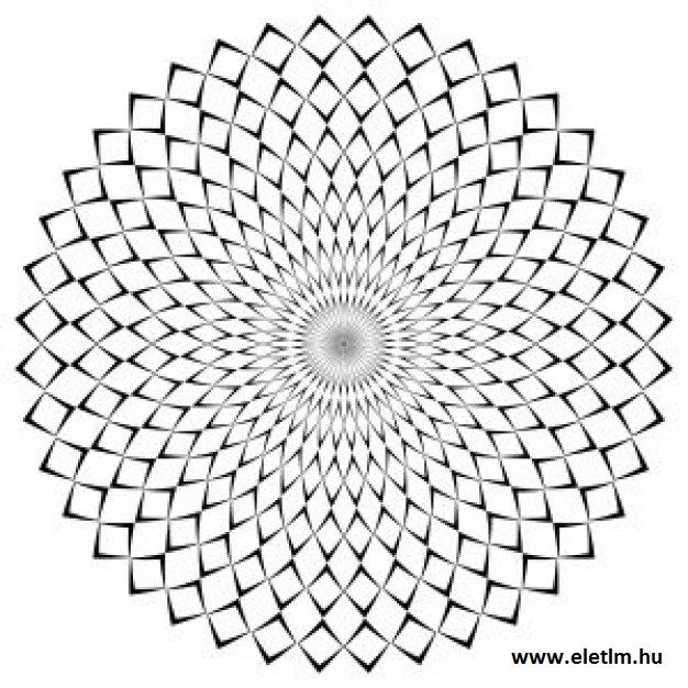 626x626 