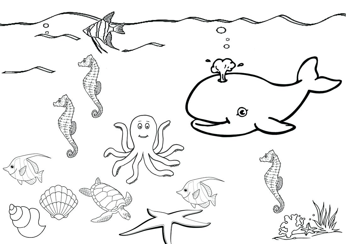 1100x777 Coloring Pages Online Printable Page Chicken Fried For Kids Under