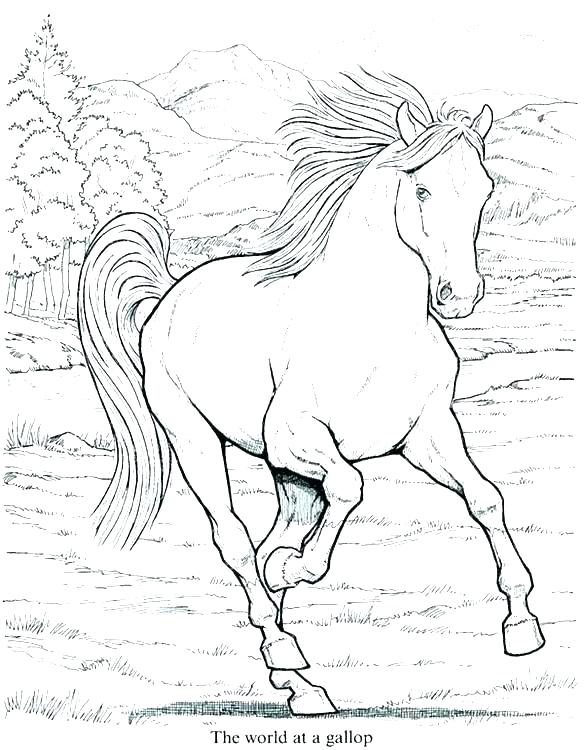 584x750 Carriage Coloring Pages