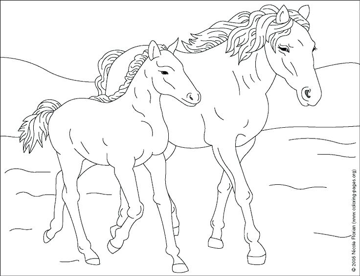736x566 Coloring Pages For Horses Coloring Horse Baby Horse Coloring Pages