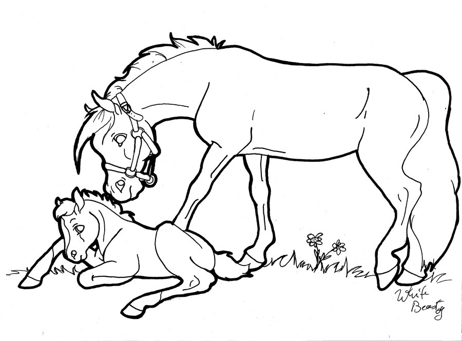 900x664 Mare And Foal Lineart By Cavelupa