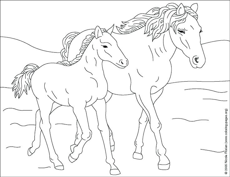 736x566 Mother Horse And Foal Coloring Pages Coloring Pages Farm Animals