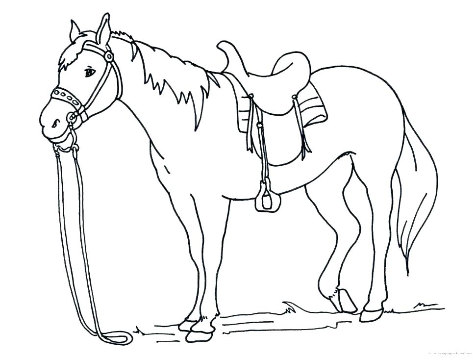 971x728 Coloring Pages Horse Printable Horse And Jockey Pictures Subiekt