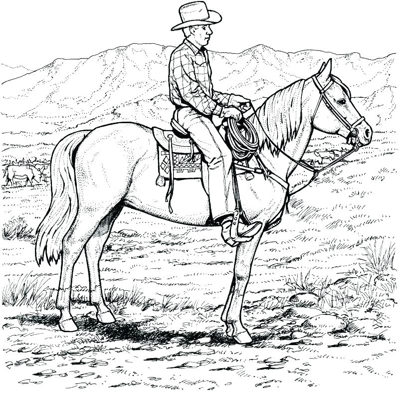 800x788 Horse And Rider Coloring Pages Horse And Rider Coloring Pages