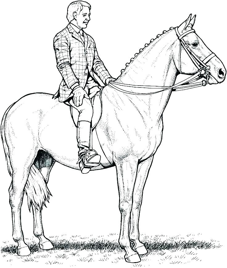 736x867 Horse Jumping Coloring Pages Coloring Pages Of Horses Jumping