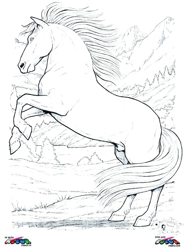 645x860 Coloring Pages For Horses Coloring Horse Baby Horse Coloring Pages