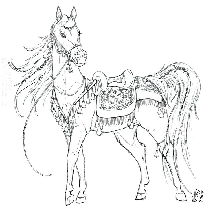 736x727 Horse Coloring Pages Free Horse Pictures For Coloring Unicorn
