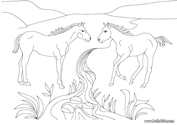 620x438 Coloring Pages Horses