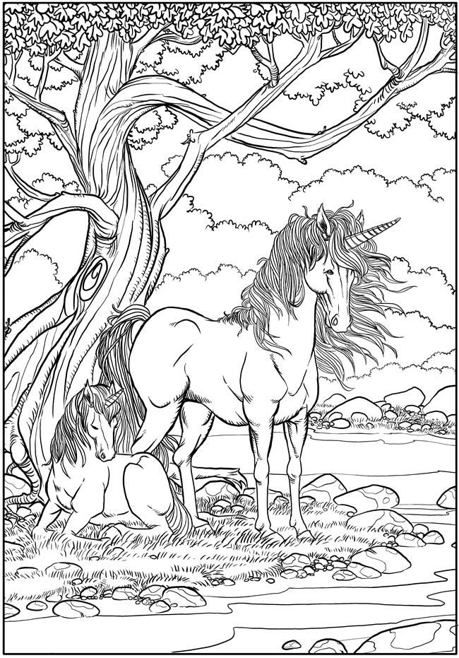 650x931 53 Best Coloring Pages Images On Coloring Books