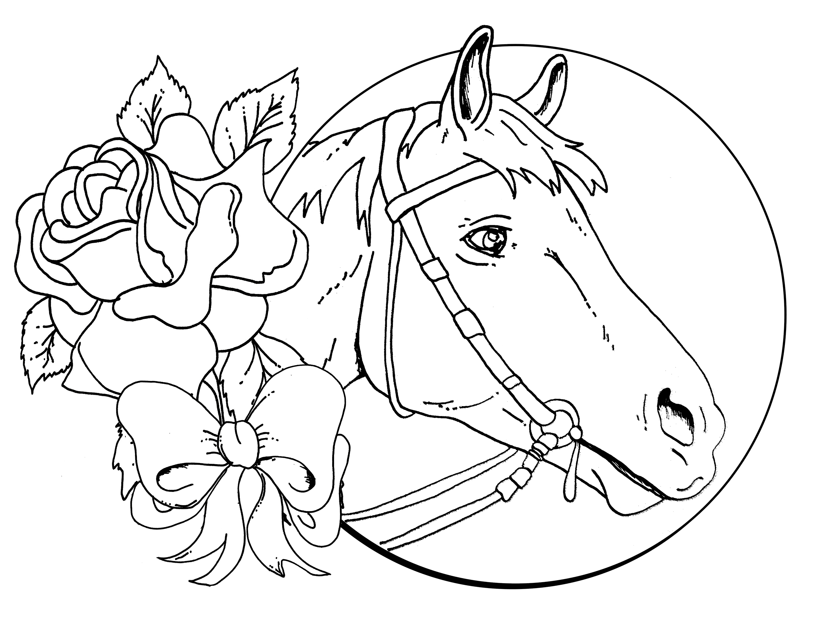 2667x2000 Important Horse Pictures To Print And Color Pr