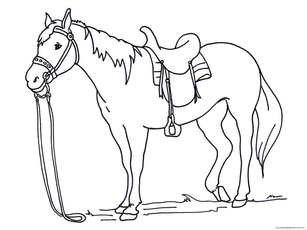 1024x768 Horses Coloring Pages Horse Trendy Inspirational For Unknown Free