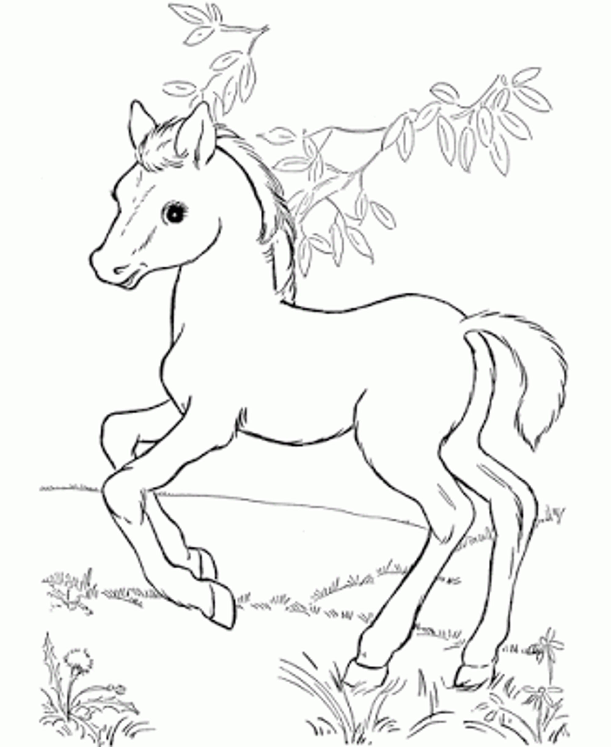 2000x2446 New Crayola Coloring Pages Horses