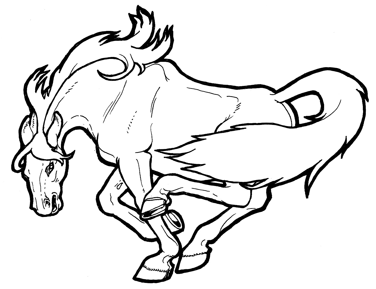 1543x1187 Now Wild Horse Coloring Pages To Print Nice Printable 86 4517