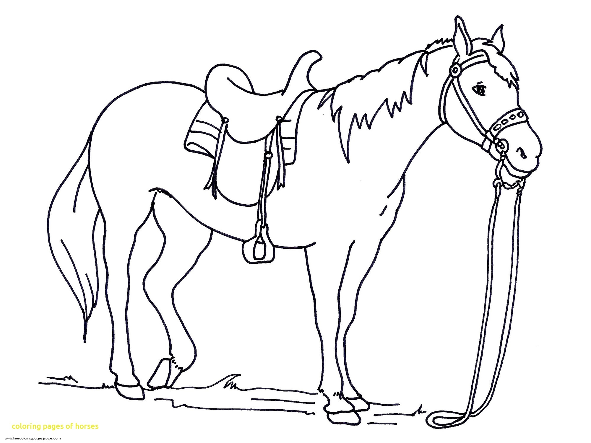 2000x1500 Printable Horse Coloring Pages 1000 855 Download Free Books