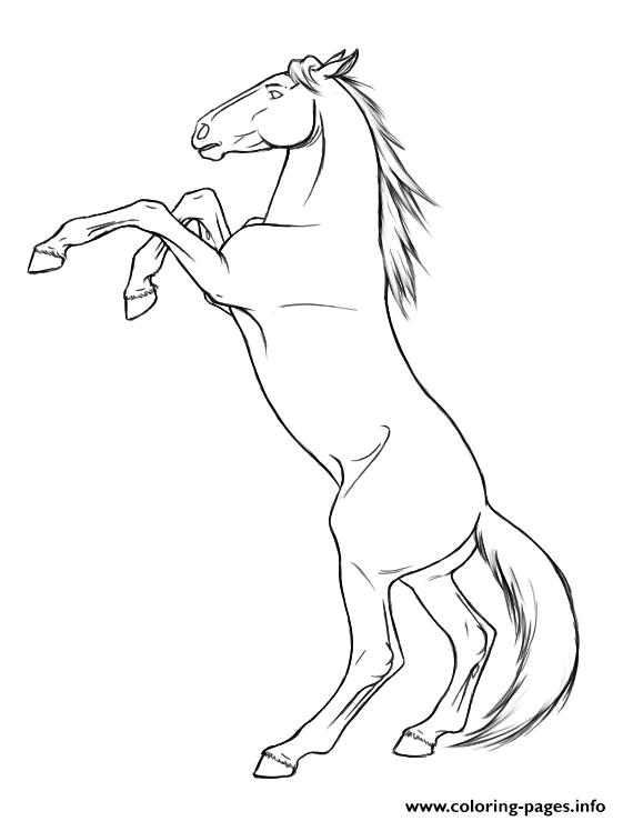 561x739 Rearing Horse S8dcc Coloring Pages Printable