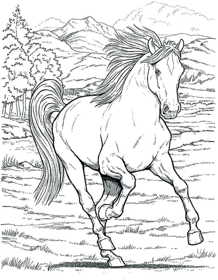 736x945 Kids Coloring Pages Online Horse Coloring Pages For Kids Horse