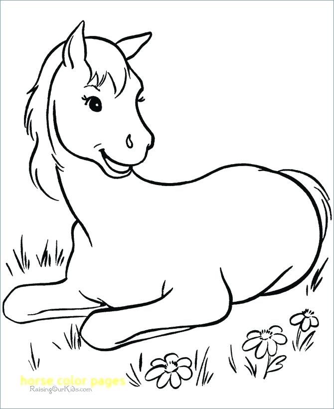 670x820 Printable Horse Pictures To Color Horse Color Pages With Horse