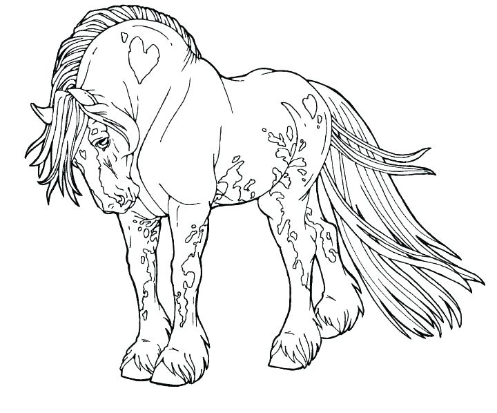 720x598 Spirit Horse Coloring Pages Spirit The Horse Coloring Pages Horse