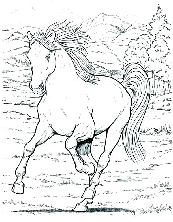 600x771 Horse Coloring Pages To Print For Free Coloring Horse Pages