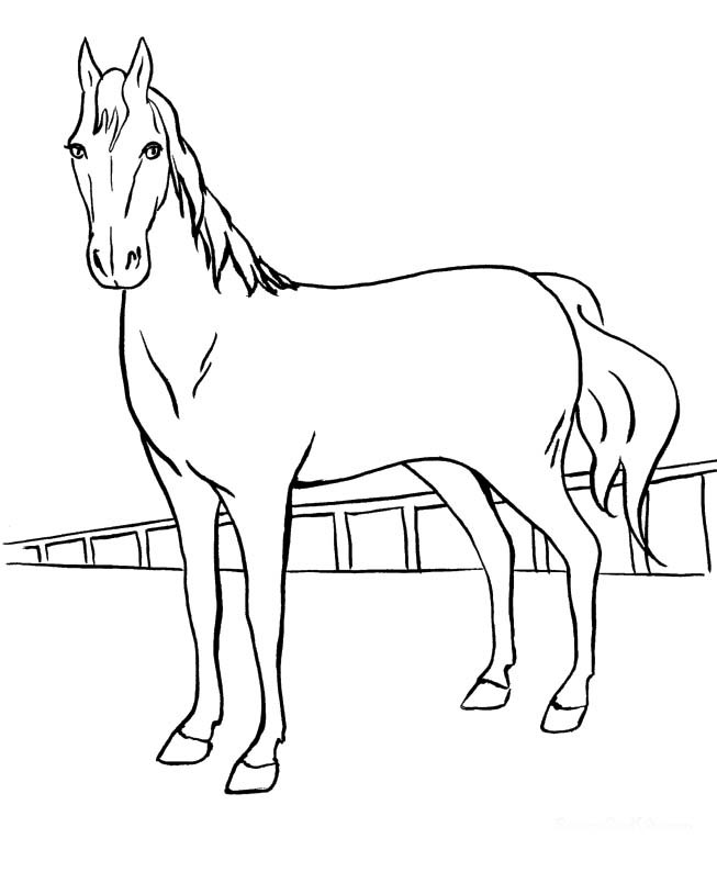 653x794 Girl On Horse Coloring Pages For Girls Images