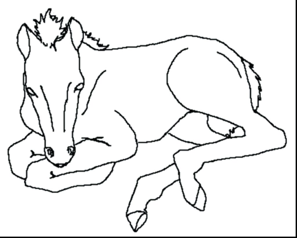 1024x819 Coloring Pages ~ Free Horse Coloring Pages Printable Race Free