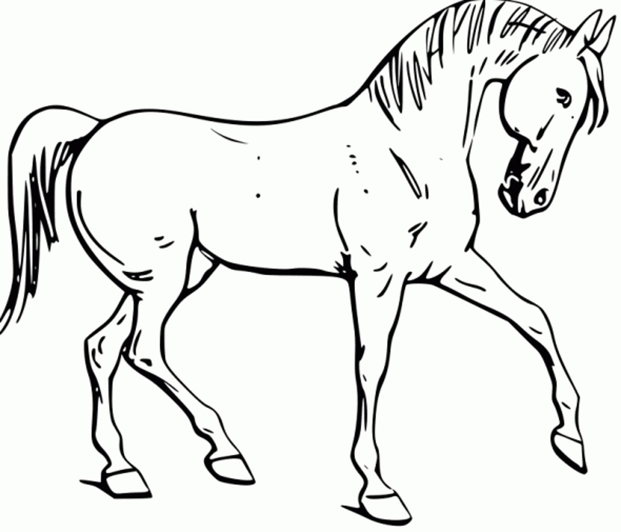 2000x1712 Printable Horse Coloring Pages Fun For Your Kids Ribsvigyapan