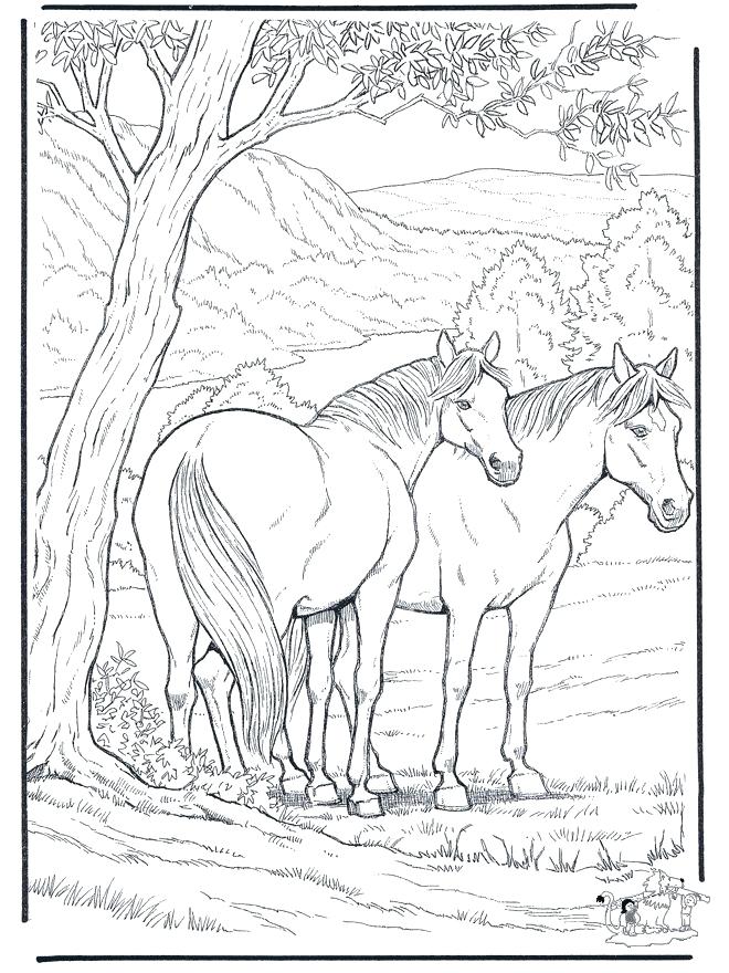 660x880 Horse Color Pages Full Size Of Coloring Horse Colouring Games