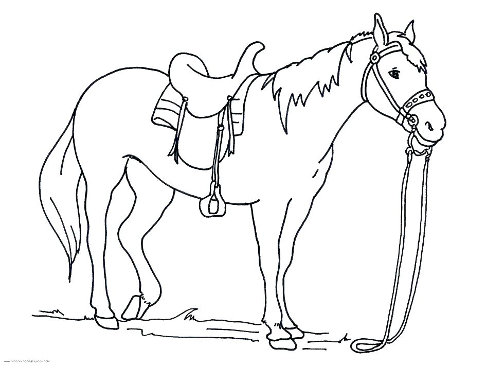945x709 Horse Coloring Games Horse Jumping Coloring Games Horse Colouring