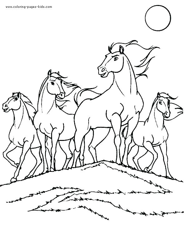 590x733 Baby Horse Coloring Pages
