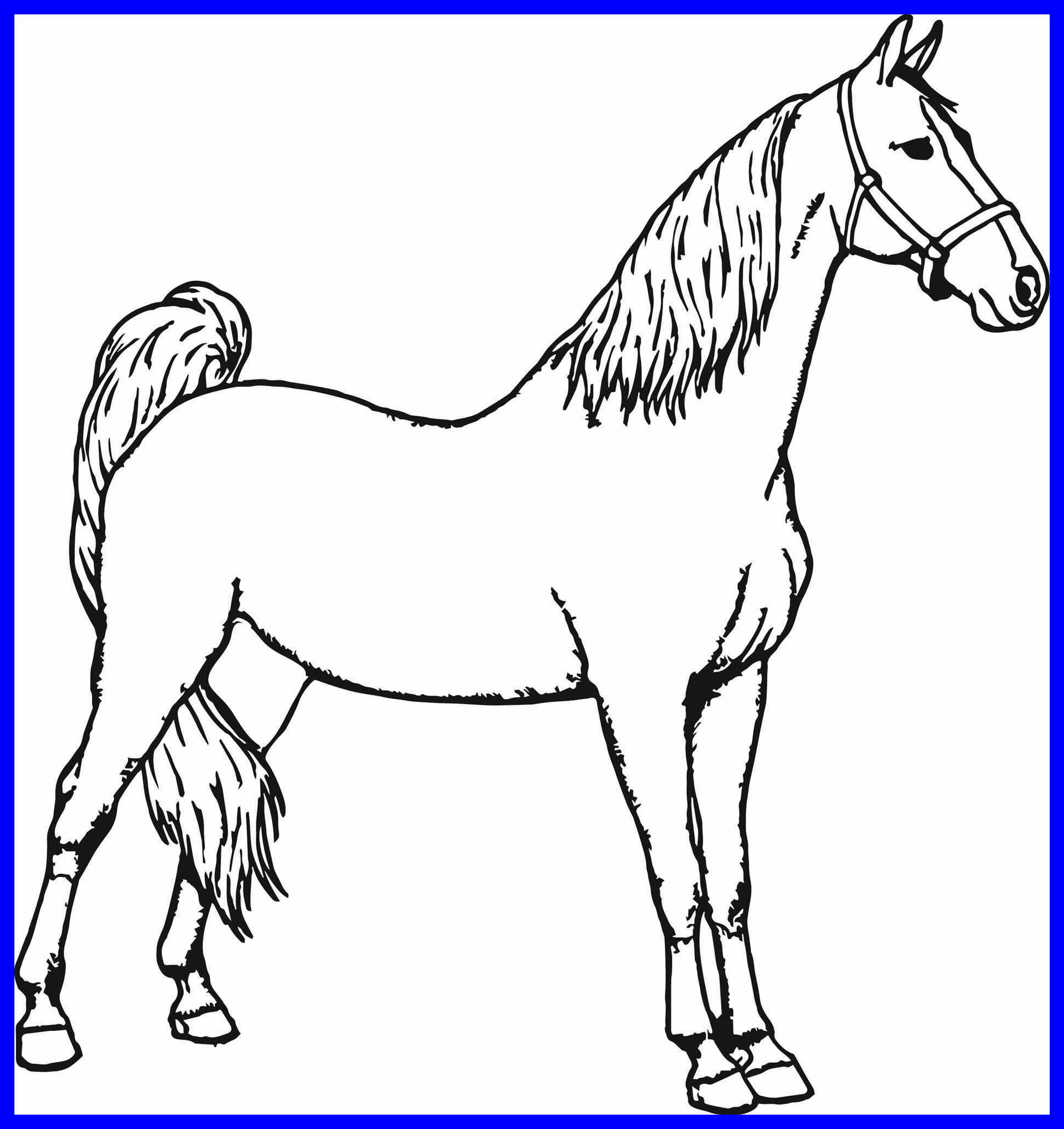 1951x2070 The Best Spirit Horse Coloring Sheets Online Printable For Crazy