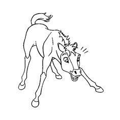 236x236 Spirit The Horse To Print Horse, Drawings