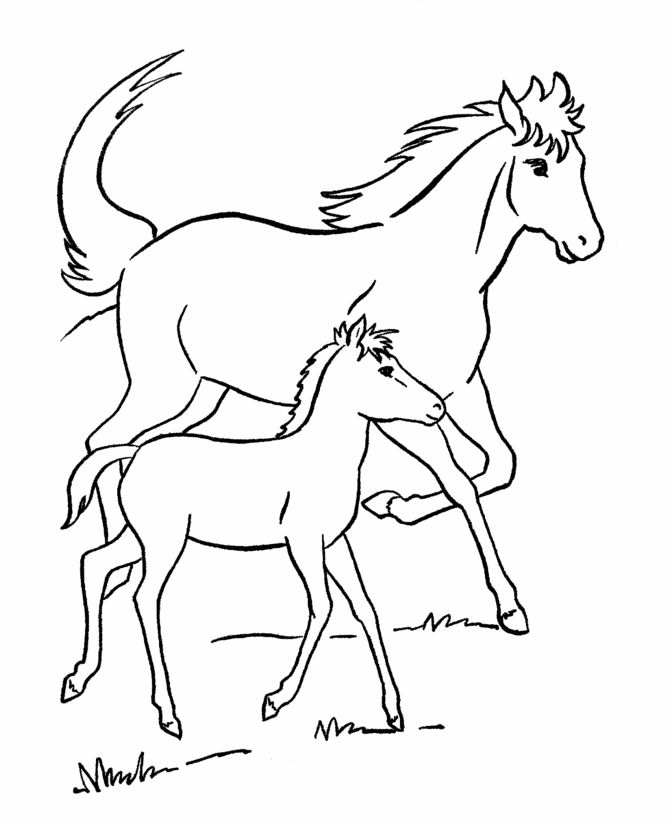 Horse Coloring Pages To Print
