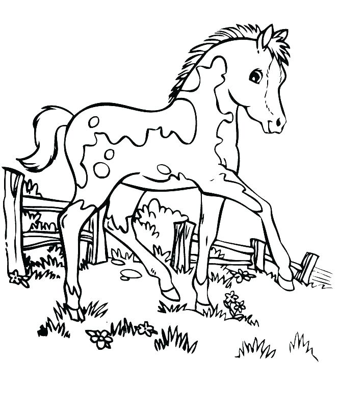 663x806 Horse Coloring Pages Horse Coloring Pages Printable Race Horse