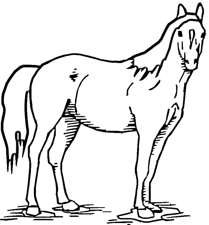 697x750 Horse Standing In Pasture Coloring Page Purple Kitty