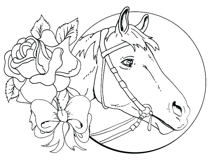 736x551 Realistic Horse Coloring Pages Horse Racing Coloring Pages