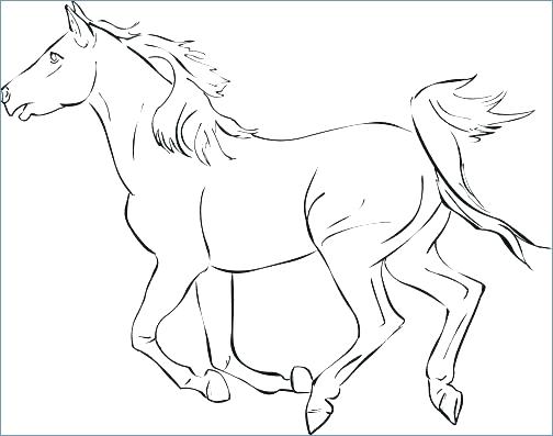 504x397 Coloring Page Of Mom And Baby Horse Free Pages Horses For 1