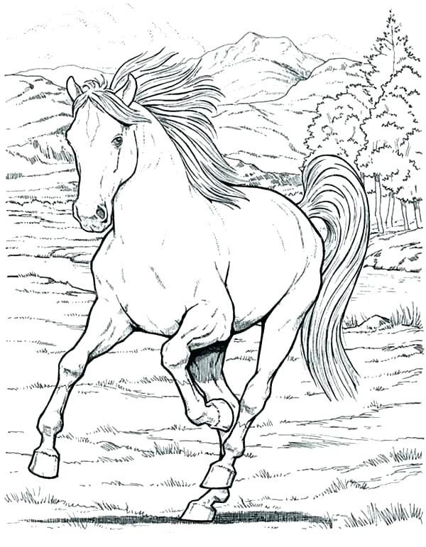 600x771 Coloring Pages Of Horses Horses Coloring Page Horses Coloring
