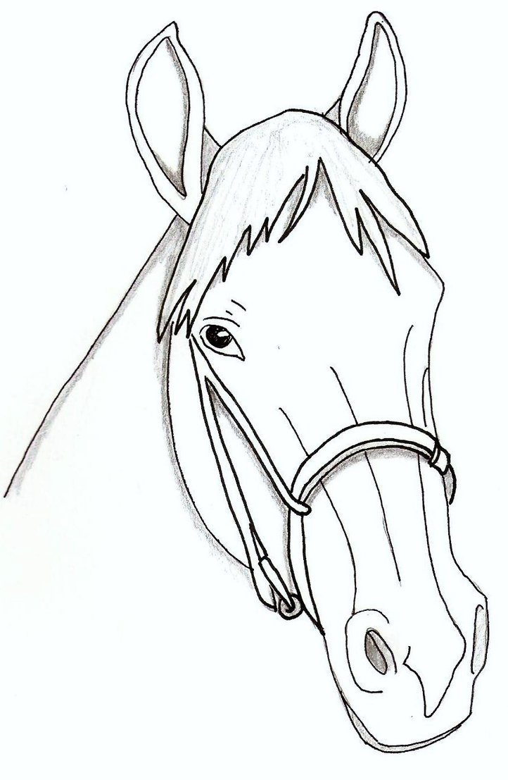 722x1107 Horse Face Coloring Page