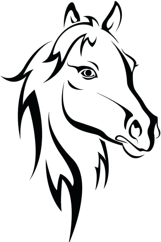 535x800 Horse Head Coloring Pages Best Images On Drawing Ideas Doodles