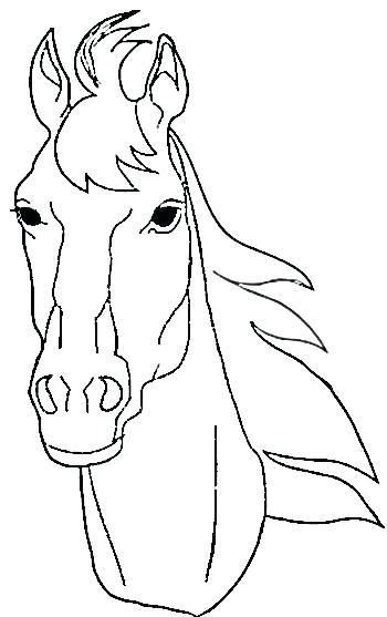 350x557 Realistic Horse Coloring Pages Horse Head Coloring Page Realistic
